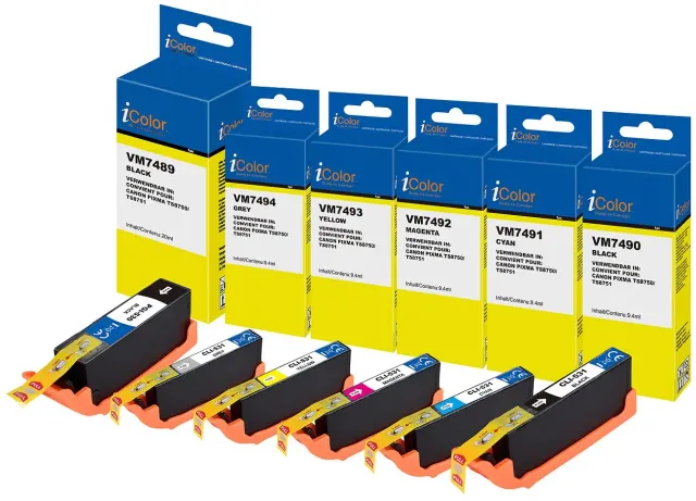 iColor PGI-530 CLI-531 Tintenpatronen Sparset 6 Stück für Canon